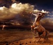 Звезды рекомендуют! Стрельцы article-image