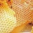 Пчелиный воск - натуральный ароматный закрепитель article-image