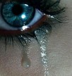 Отечественный «нос» - Нина Зейская_ Еще одна история забвения article-image