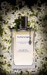 Восхитительныйжасмин в новом аромате от Van Cleef & Arpels - California Reverie