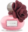 Новый Poppy Wild Flower от бренда Coach article-image