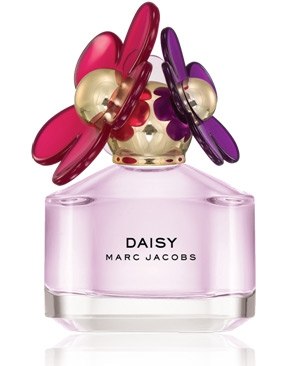 Daisy Sorbet 