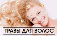 ТРАВЫ ДЛЯ ВОЛОС article-image