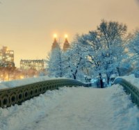 ЗИМНИЕ АРОМАТЫ article-image