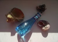 Davidoff Cool Water Woman edt