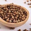 Кориандр и его пряный и многогранный аромат article-image
