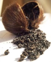 Парфюмерная азбука: мускус article-image