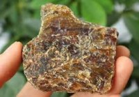 Парфюмерная азбука: амбра article-image