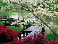 Le Jardin de Monsieur Li, или вдохновенные китайские сады