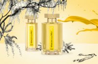 Целый мир в твоих глазах. L`artisan Parfumeur Mimosa Pour Moi