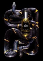 Le Premier Parfum Coolife. Чакра Свадхистхана article-image