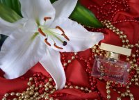 Соблазнительный и строгий The One от Dolce&Gabbana, Eau De Parfum article-image
