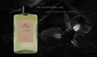 Iris Cendre Naomi Goodsir. Красота ирисов