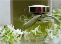 Chloe, L`eau de Chloe, EDT - шипр с ароматом лета