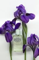 Prada Infusion d Iris Eau de Parfum (2015)