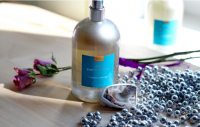 Comptoir Sud Pacifique. Vanille Ambre EDT
