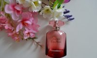 Цветущие сады Японии с Ever Bloom Shiseido