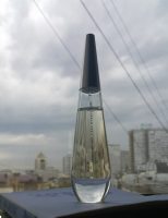 Мертвые цветы, прозрачные воды. L Eau D Issey Pure