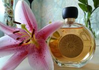 Обволакивающее солнце на загорелой коже - Terracota Guerlain