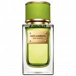 Velvet Mughetto - зелёная новинка весеннего сезона от Dolce & Gabbana