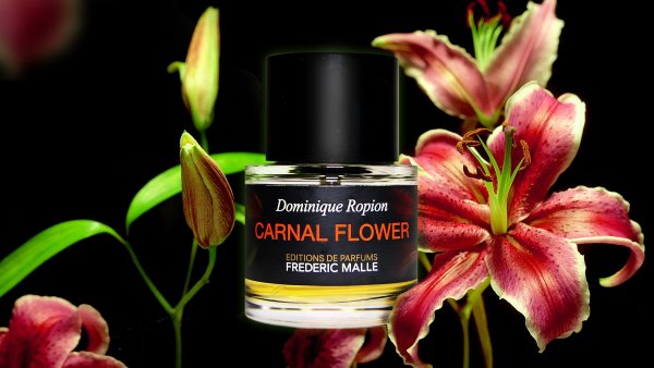 Scent Memoris или чем пахнет жизнь Фредерика Малля?