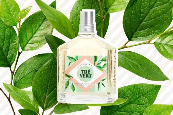 Дань классике с LOccitane en Provence The Vert 2020 Edition