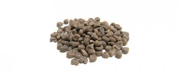 Scent Memoris: чем пахнет счастье Натали Лорсон +5 ароматов от парфюмера