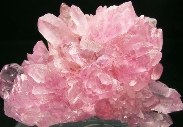 Цветочное путешествие с Boucheron Rose d Isparta
