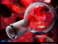 Афродизиаки в парфюмерии: 15 нот + 15 ароматов article-image