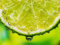 7 цитрусовых ароматов на любой вкус article-image