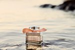 Chloe Rose Tangerine - летняя новинка модного дома. article-image
