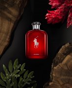 Новый аромат Polo Red Eau de Parfum от Ralph Lauren - продолжение коллекции Polo Red. article-image