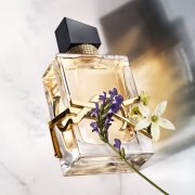 Спокойствие, только спокойствие: ароматы с нотой лаванды. article-image