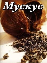 Исследуем ингредиенты. Мускус.