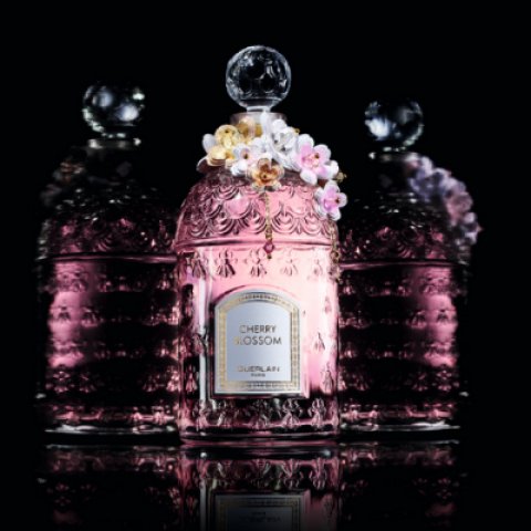 Guerlain Cherry Blossom Millеsime 2021 - аромат, посвященный цветению сакуры. article-image
