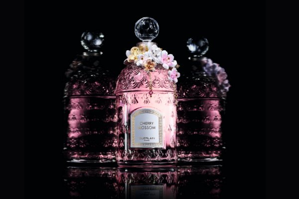 Guerlain Cherry Blossom Millеsime 2021 - посвящение цветению сакуры.