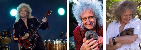 Queen, Xerjoff & барсук: результат превосходит ожидания