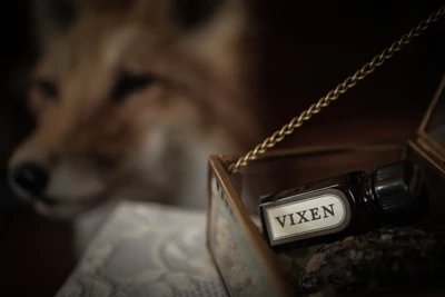 Vixen — запах ночного зверя в хвойном лесу