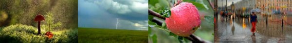 В разных местах дождь пахнет по-разному