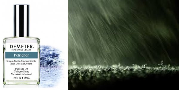 Petrichor от Demeter Fragrance — парфюм о дождевой воде и мокрой земле без растительности