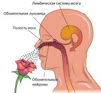 СЛЕПЫЕ ЗАТЕСТЫ: Парфманьяки, поиграем?..