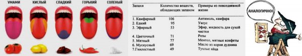 Личное дело, или Нервы, от которых зависит обоняние