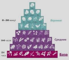 Исповедь «лягушки», или Почему не работает разделение на «холодную» и «горячую» кожу