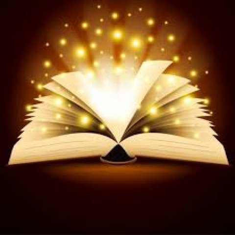 Фантастические твари и чем они пахнут article-image