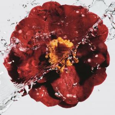 L`Eau Rouge – тонизирующий парфюмированный спрей из новой косметической линии №1 DE CHANEL