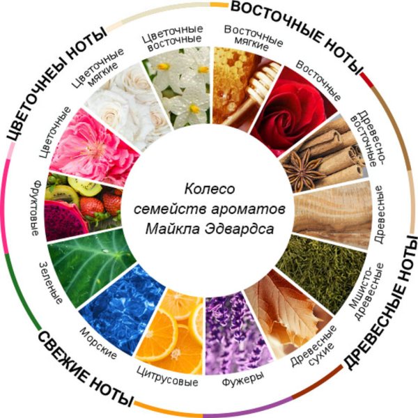 Муки выбора ароматов