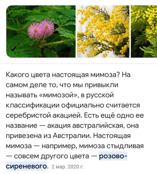 Мой взгляд на весенний ароматы