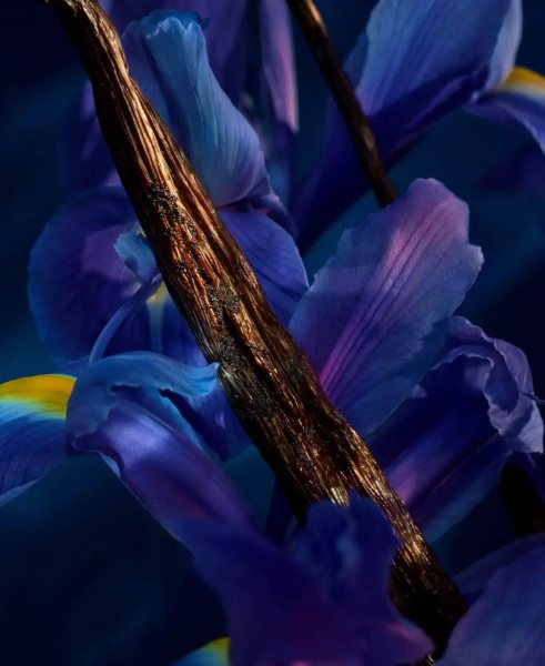 Shalimar Millesime Iris Guerlain - ирис или ириски?