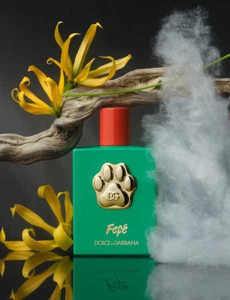 Парфуми для собак від Dolce & Gabbana