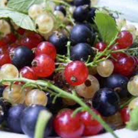 Чорна смородина і порічка в парфумах: мій досвід